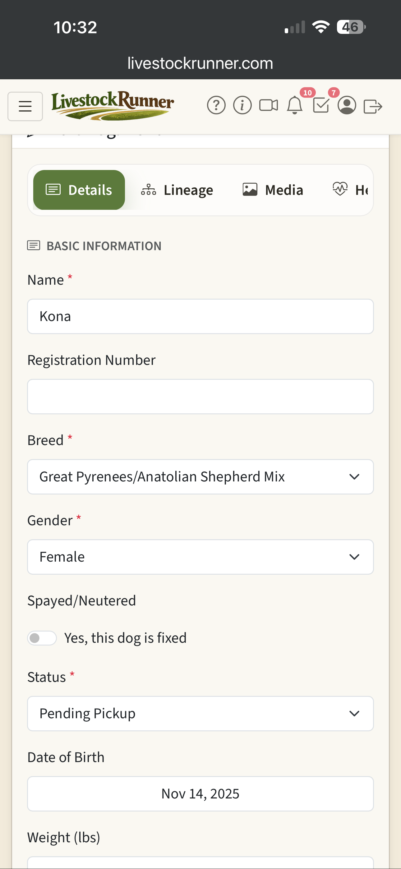 Animal details form with breed, gender, and registration info