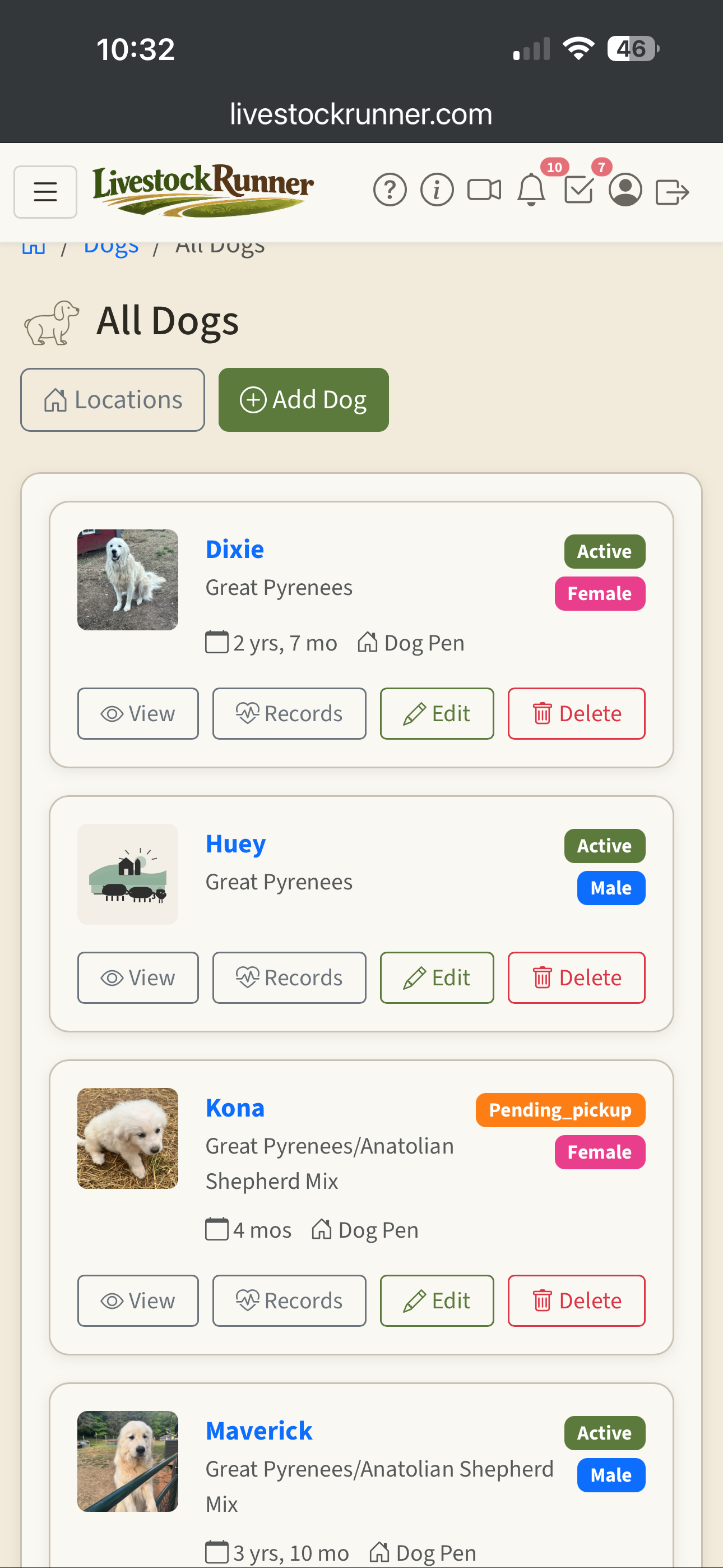 Dog list showing all animals with breed, age, and status