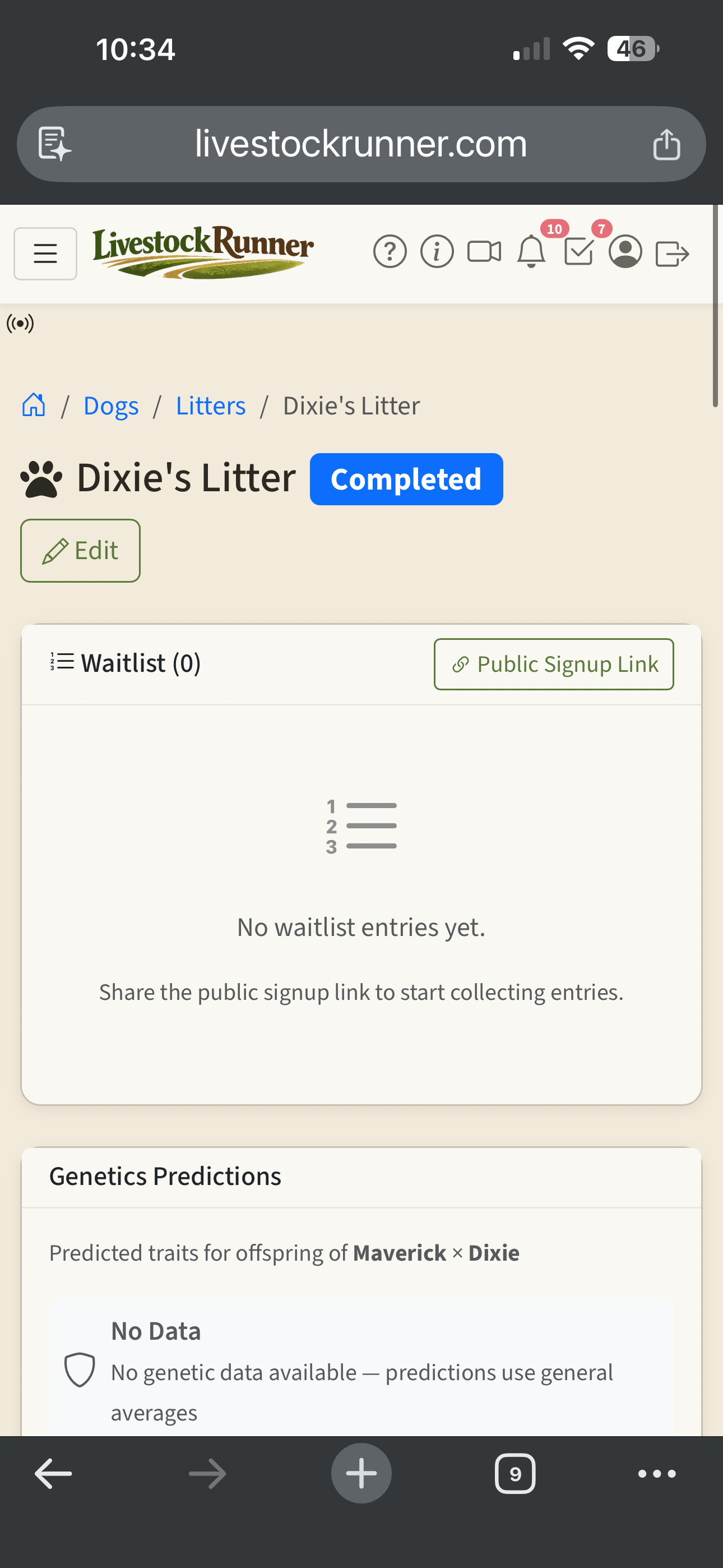 Litter show page with status, waitlist, and genetics predictions